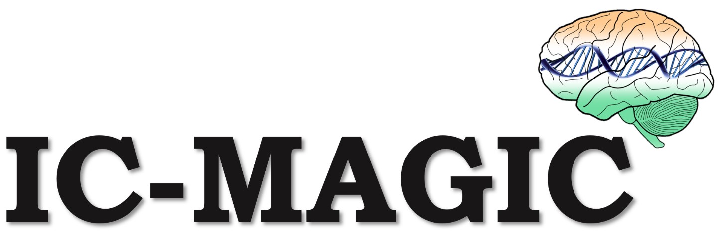ic-magic-logo